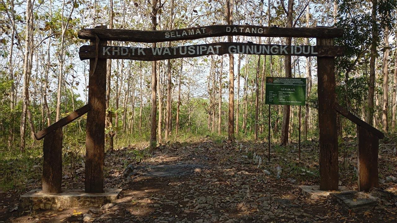 KHDTK Gunungkidul Blok Watusipat